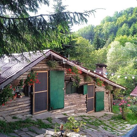 Zimska Idila Διαμέρισμα Crni Vrh Εξωτερικό φωτογραφία