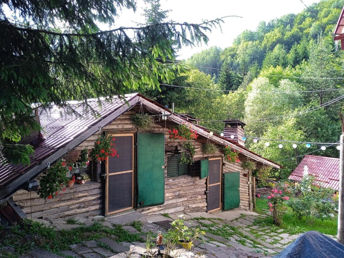 Zimska Idila Διαμέρισμα Crni Vrh Εξωτερικό φωτογραφία